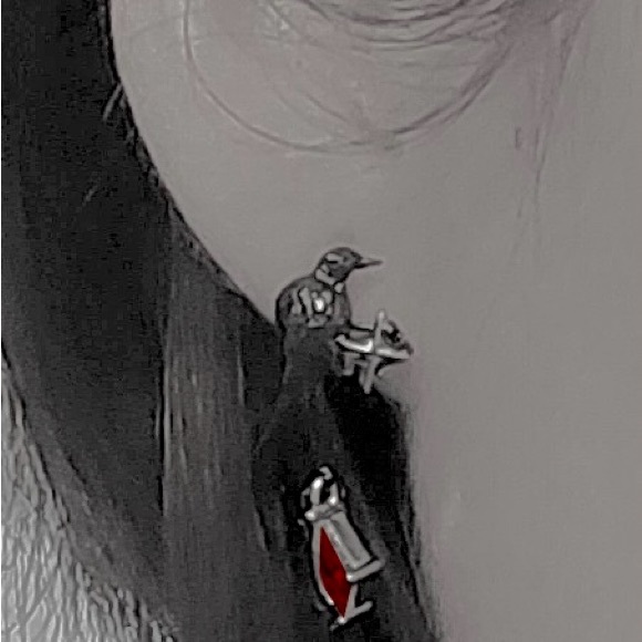 “Raven” Edgar Poe Perched Crow Bird Star Blood Droplet Macabre Gothic Grim Studs - Picture 11 of 16